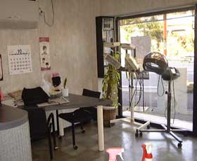 �r���[�e�B�T�����@�V�X�^�[